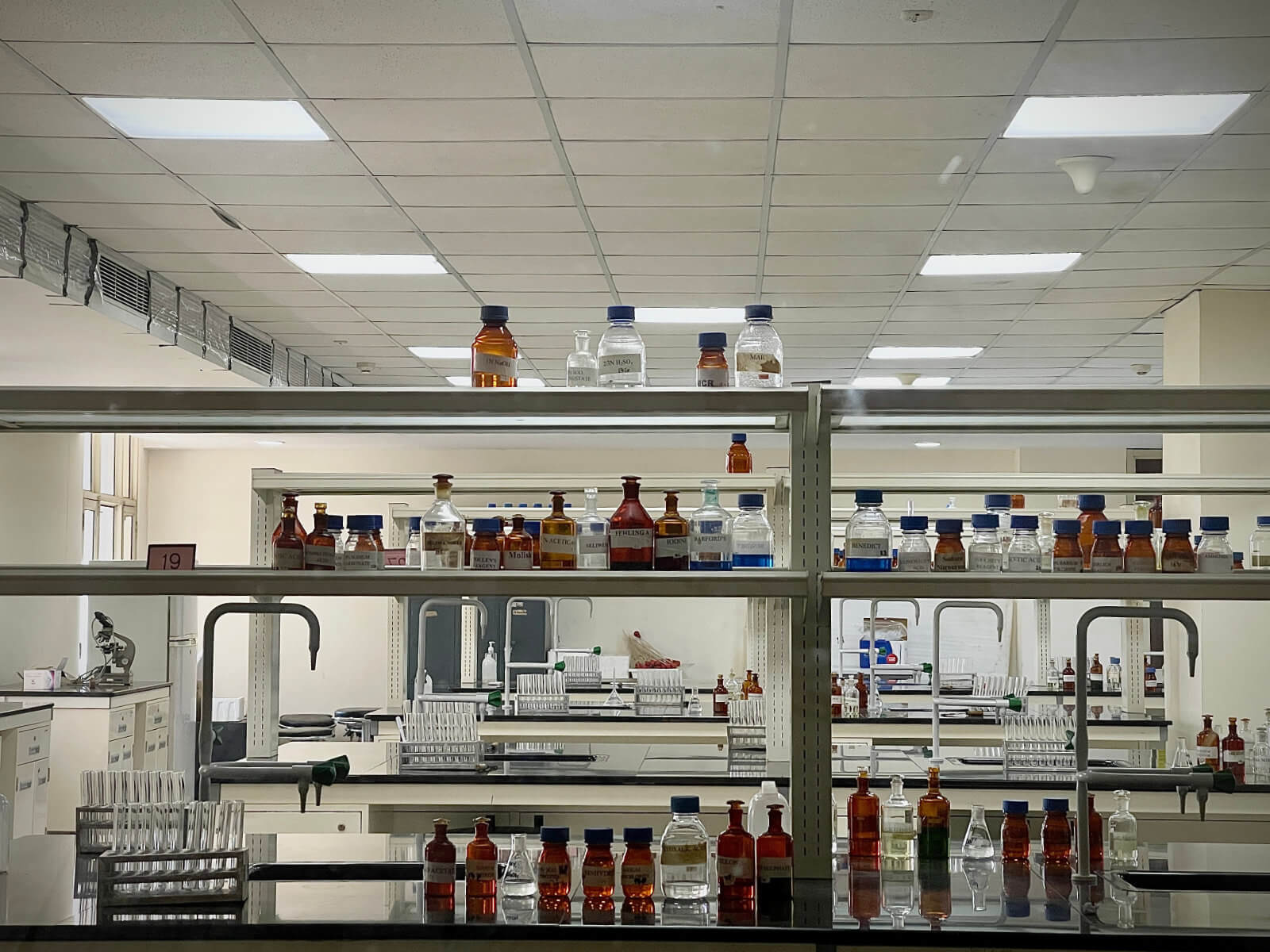 Lab